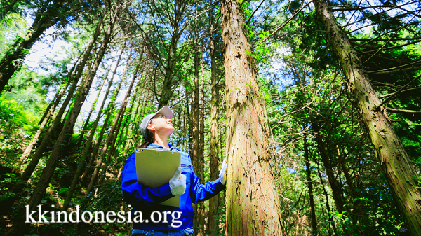 Ilmu Pengetahuan Alam Hutan